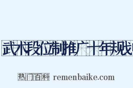 武术段位制推广十年规划是什么意思的图片